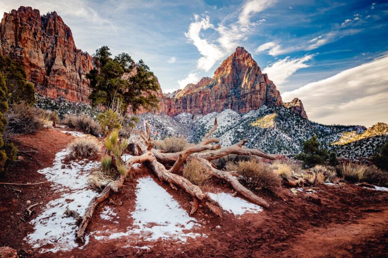 The Watchman formation in Zion National Park